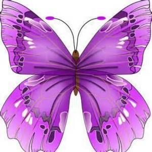 Meet your Posher, Loris